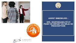 Agent immobilier, DPE et responsabilité